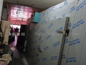 重庆南岸区小型肉类冷藏冷冻冷库安装