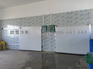 上海浦远蔬菜园艺专业合作社农产品保鲜冷库安装
