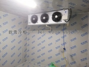 湖南中科存储科技有限公司小型冷藏冷库安装