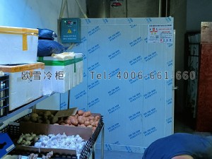 重庆巴南区果蔬专卖店小型保鲜冷藏冷库安装