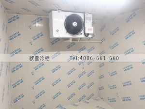 江苏省南京市15立方的小型冷藏冷库安装