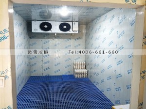 重庆市渝北区20立方的小型饮料冷藏冷库安装